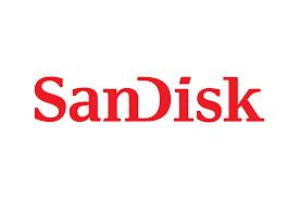 MEMORY DRIVE FLASH USB-C 512GB/SDDDE1-512G-GR46 SANDISK